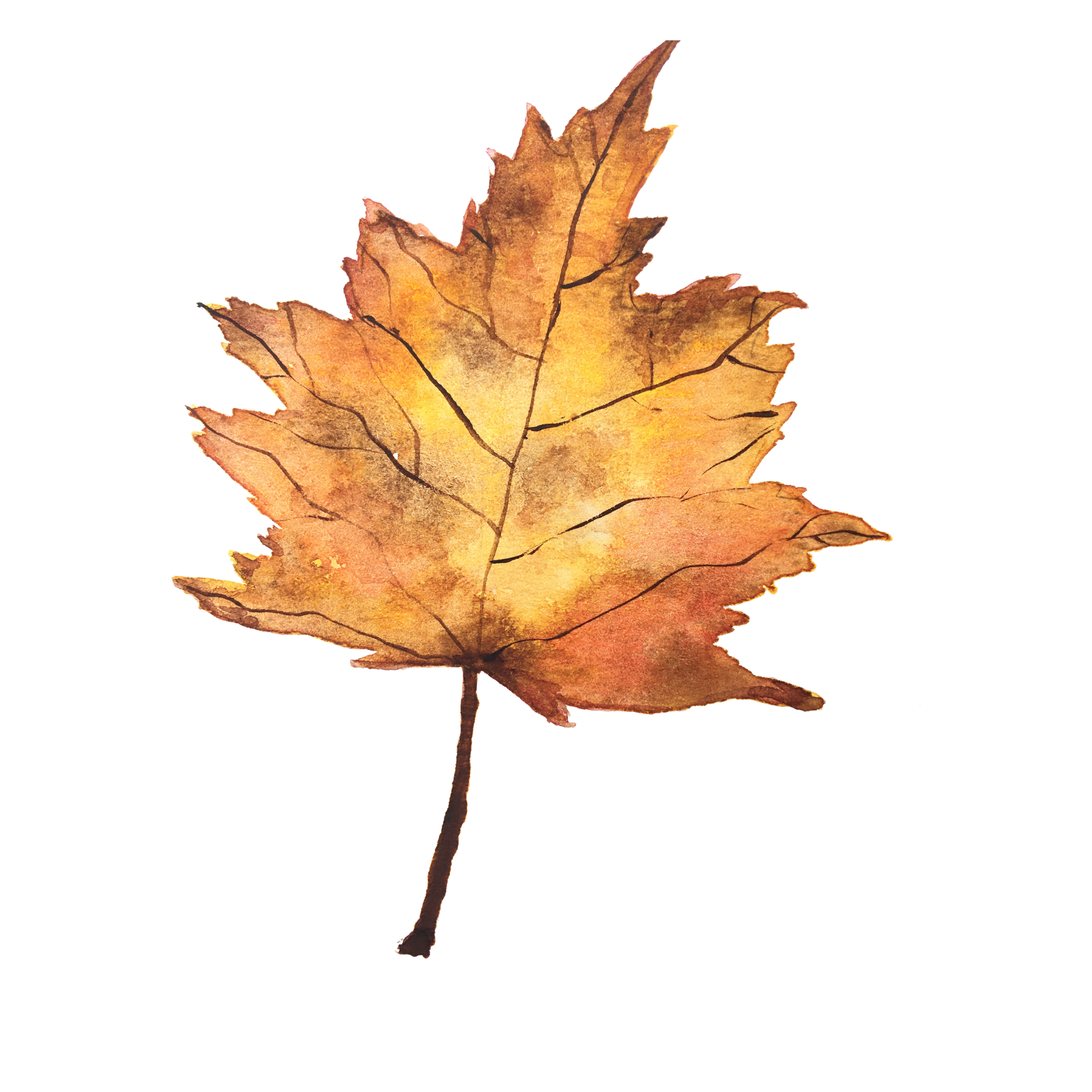 Titelbild des Events: Herbstausflug