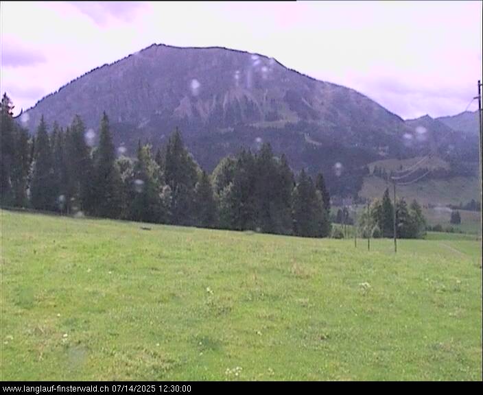 14.07.2025 12:11