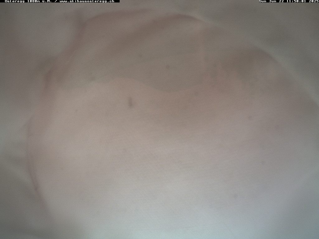 22.06.2025 12:14