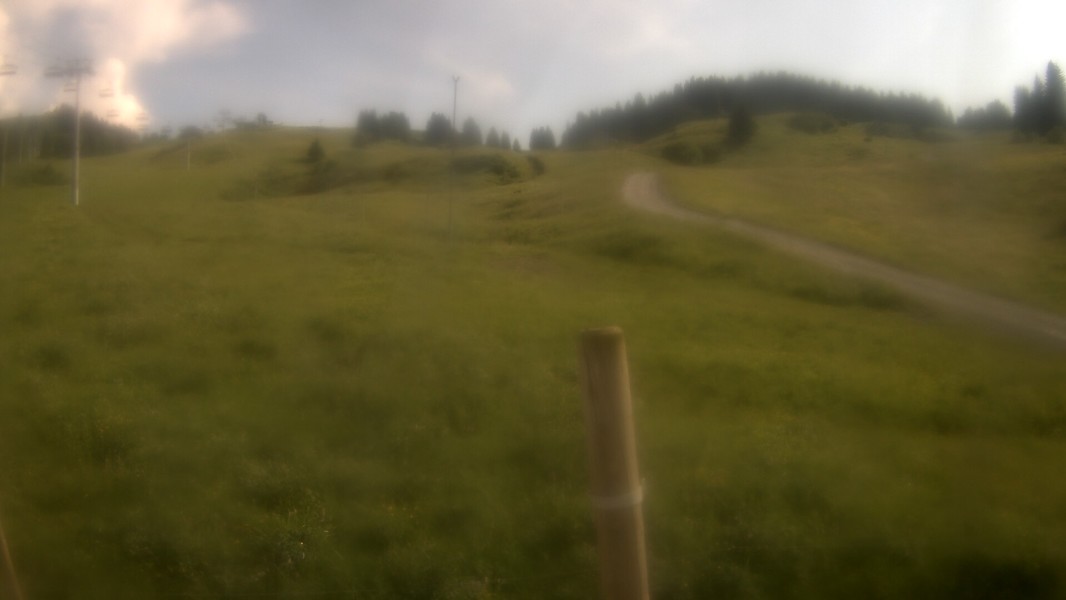 13h ago - 17:31