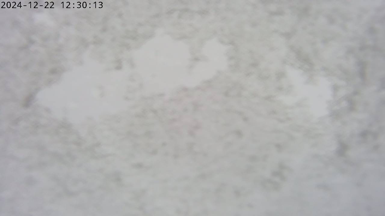 22.12.2024 12:30