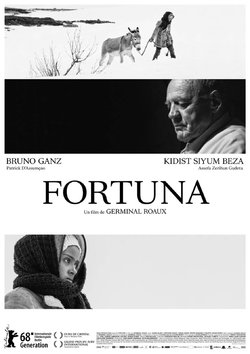 Kino im Wortreich: «Capharnaum» und «Fortuna» - 1
