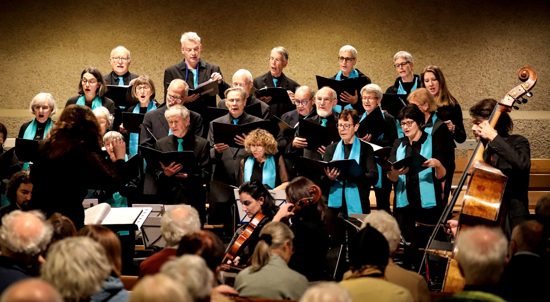 Konzert PASSION, Kleine Orgelsolo-Messe J.Haydn und weitere Werke