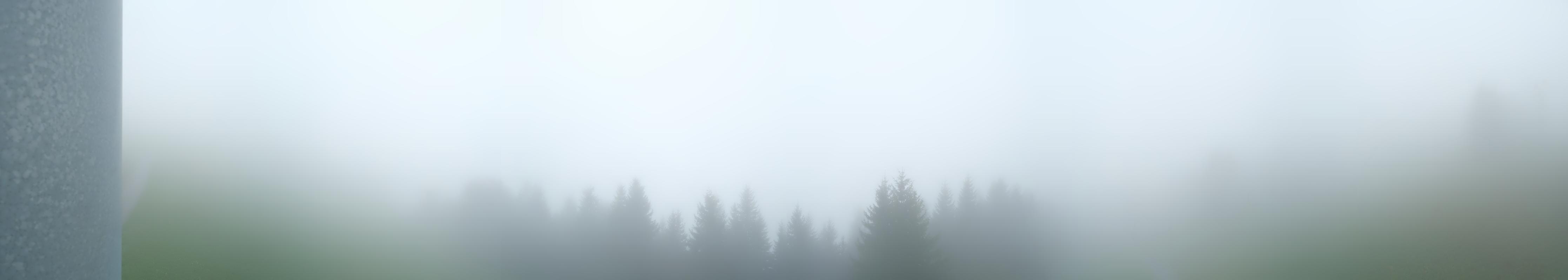 40h ago - 15:31