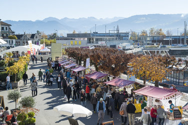Käsefest Rapperswil-Jona