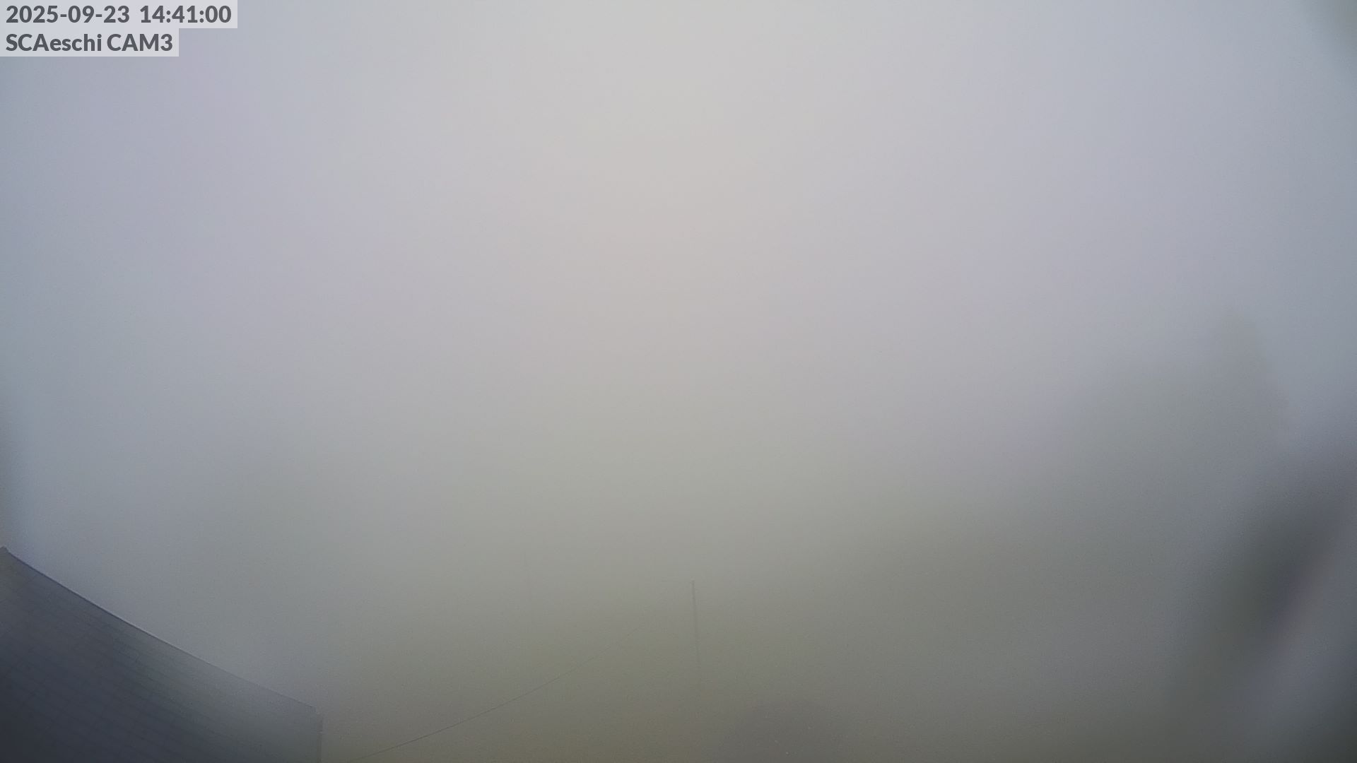 7h ago - 14:41