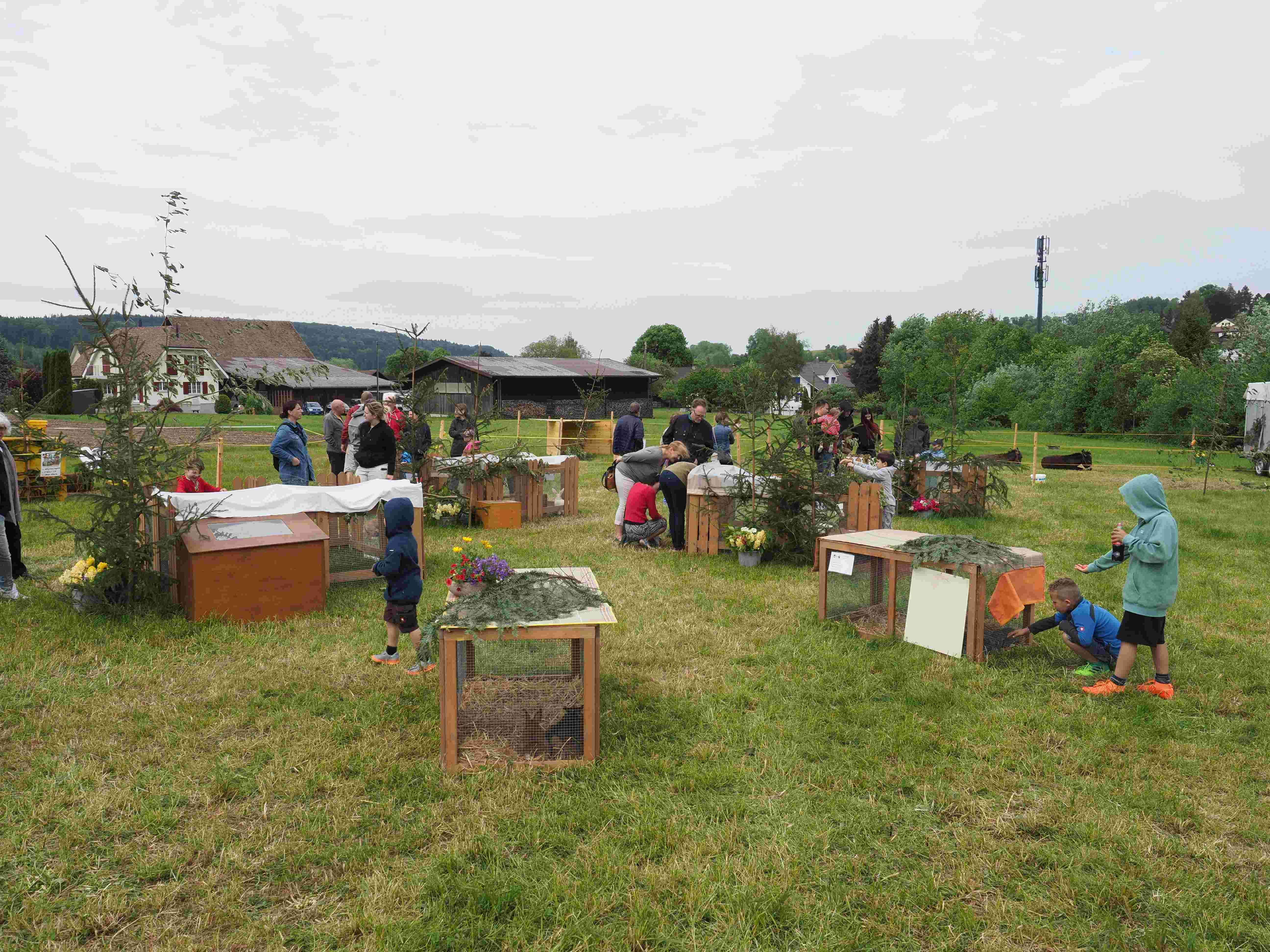 Jungtierausstellung beim Schützenhaus Weisslingen