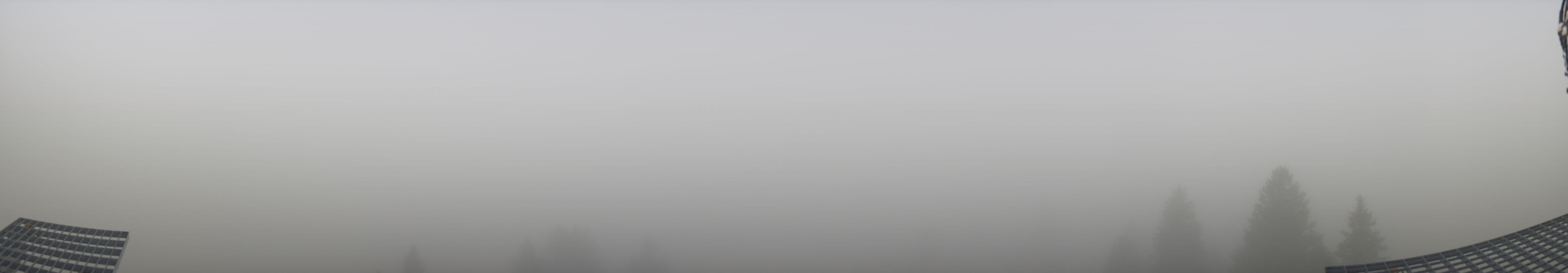 30h ago - 07:50