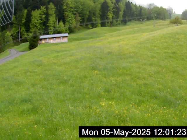05.05.2025 12:01