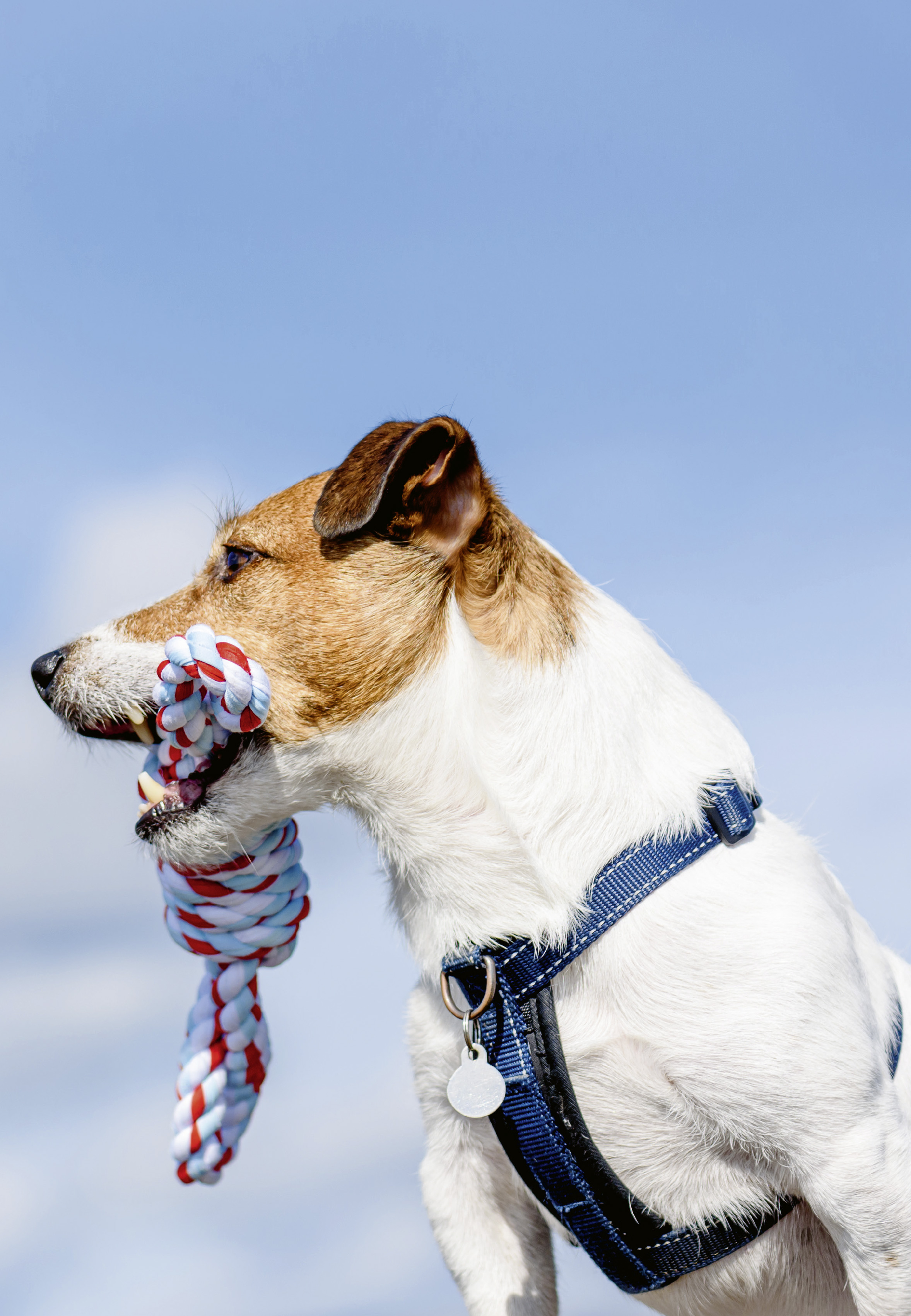 Theater Kanton Zürich - Der Diener zweier Herren