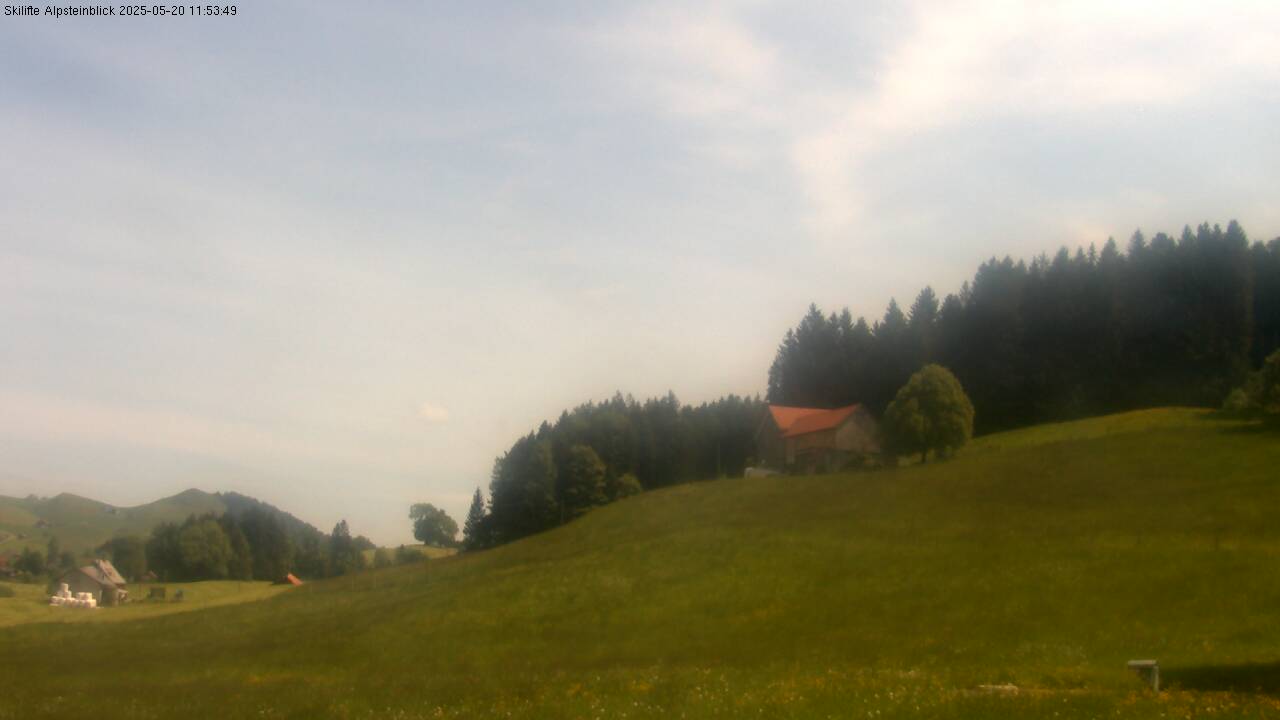 35h ago - 11:53