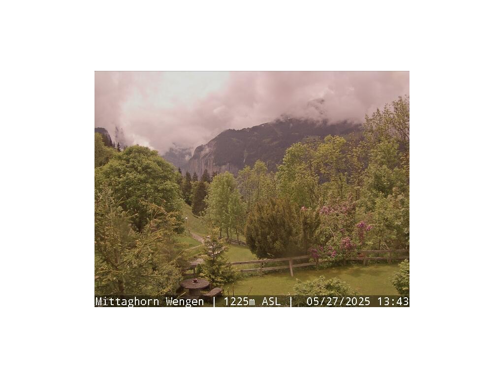40h ago - 15:13