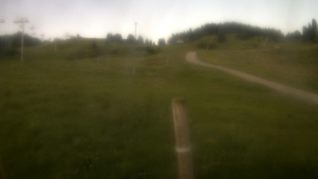 25h ago - 06:01