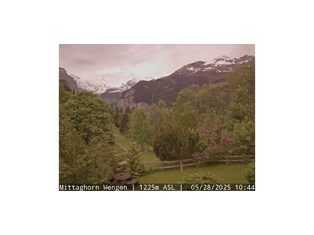 19h ago - 12:15