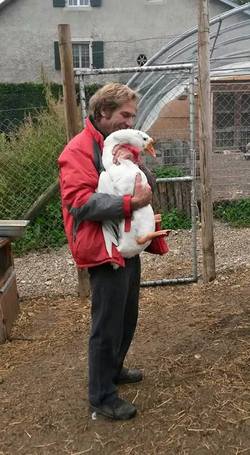 Hofladen La Ferme Aux Cretegny - 1