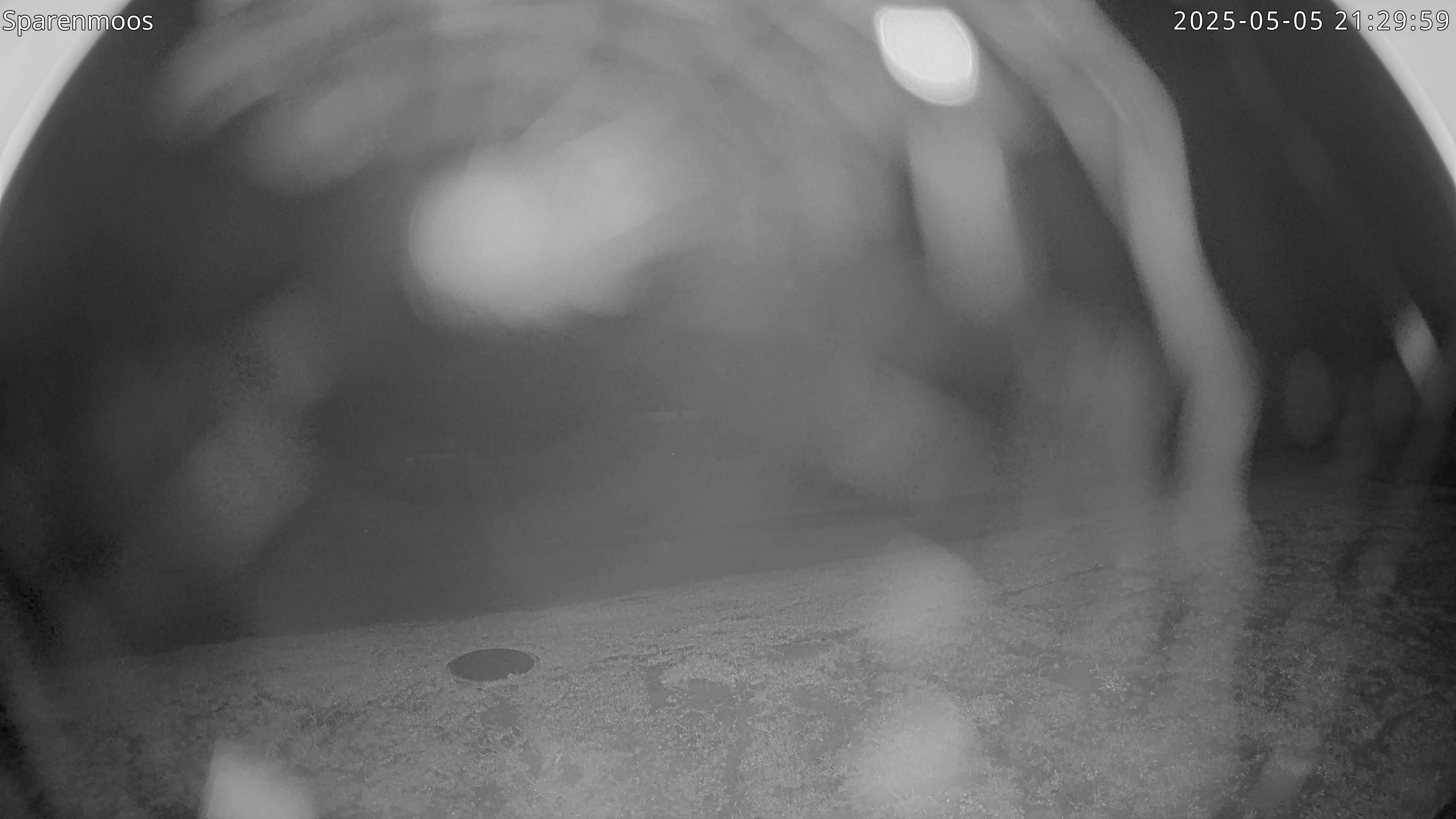 32h ago - 21:30