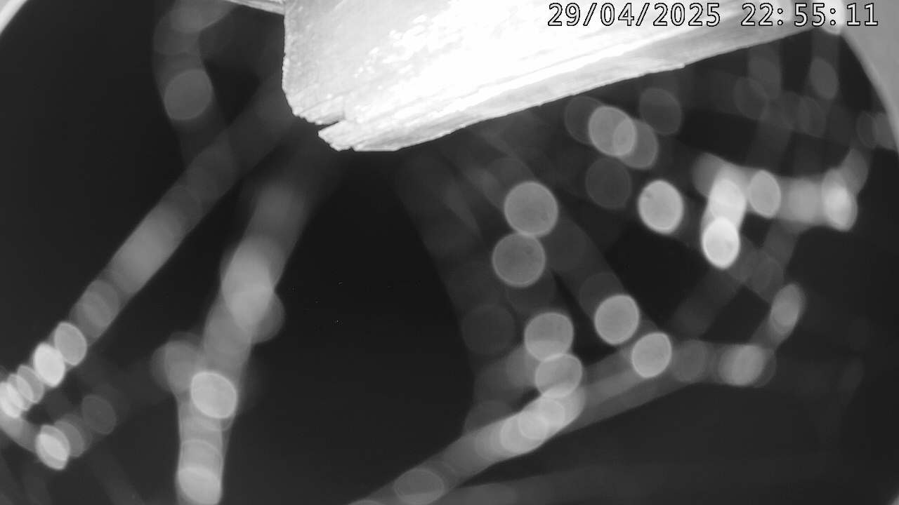 31h ago - 22:55