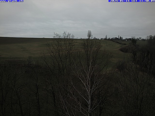 15.01.2025 12:07