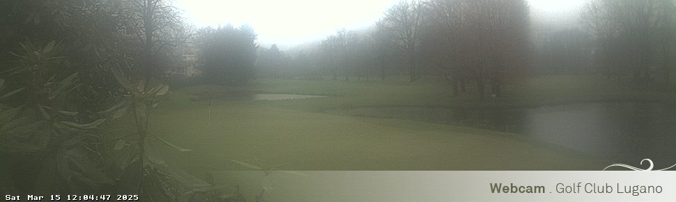 15.03.2025 12:05