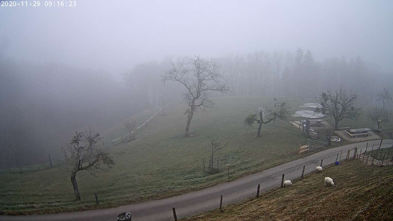 8h ago - 08:31
