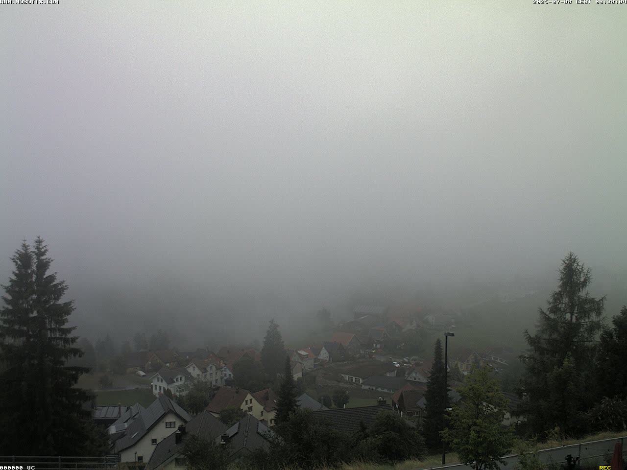 6h ago - 09:31