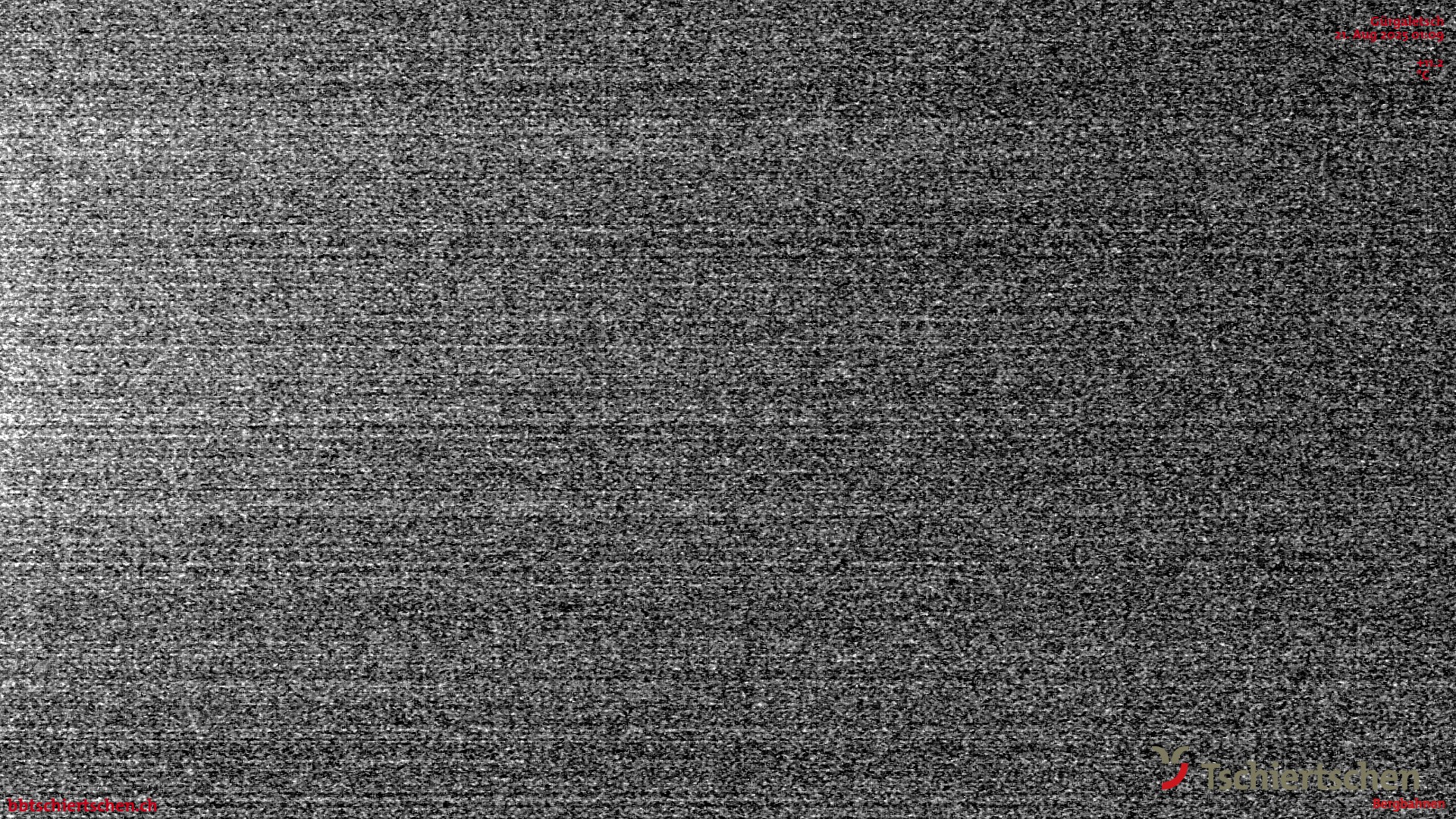 42h ago - 01:10