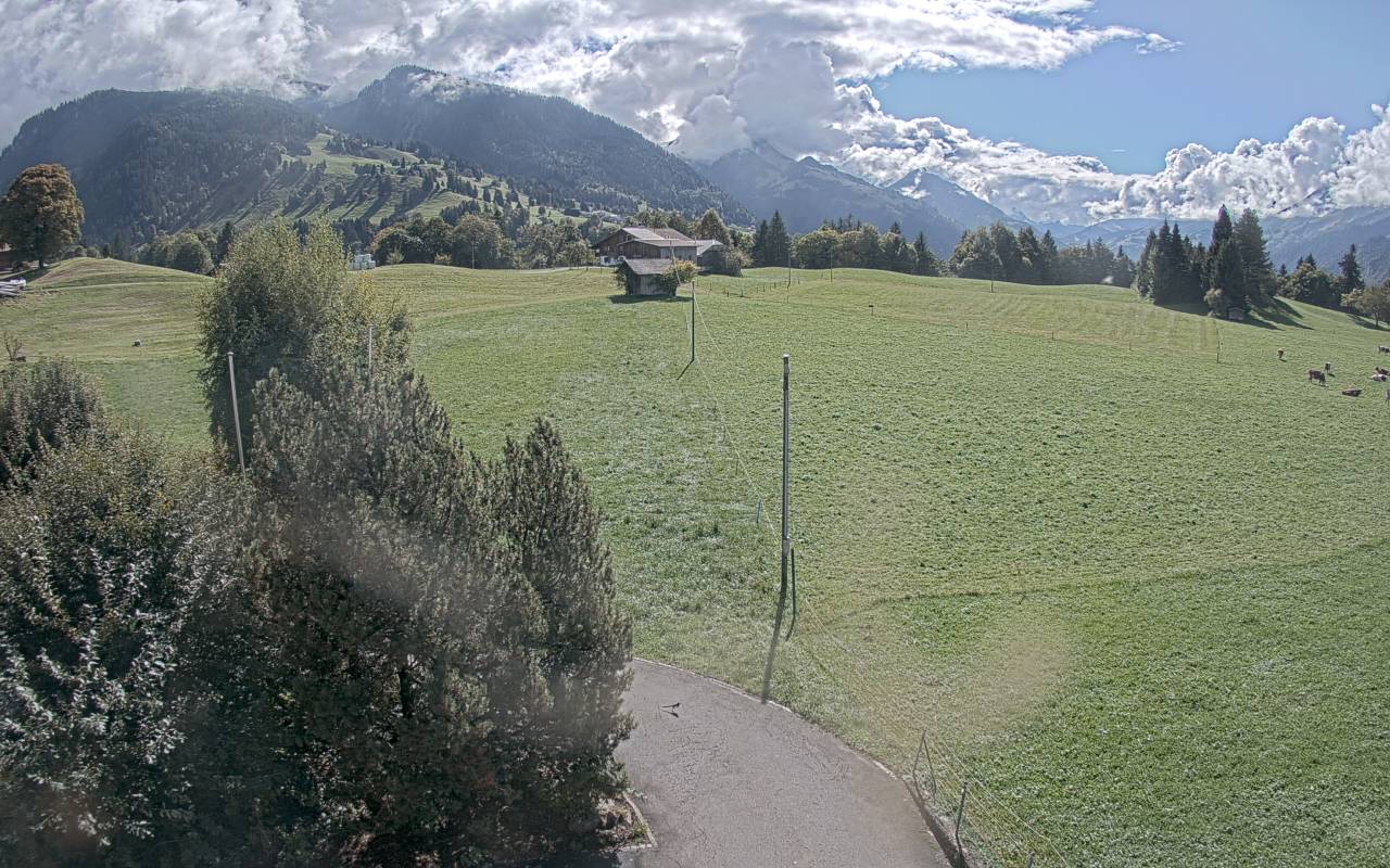 8h ago - 14:25