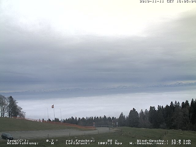 11.11.2019 16:05