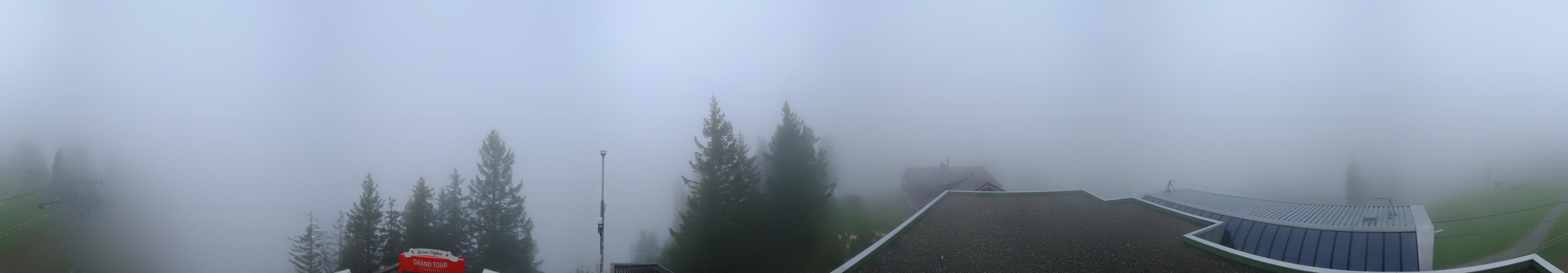 14h ago - 15:41