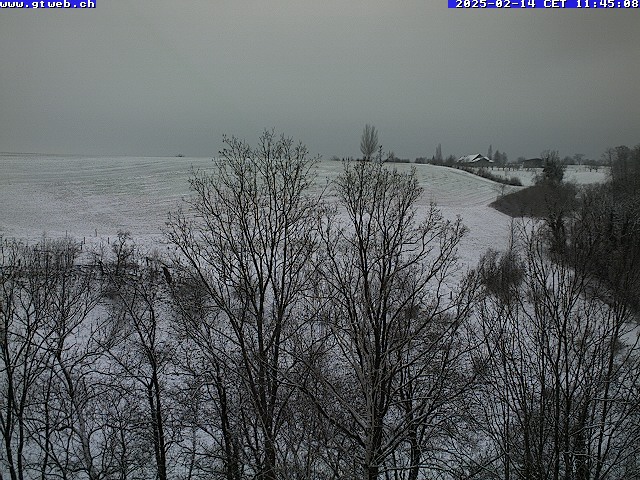 14.02.2025 12:12