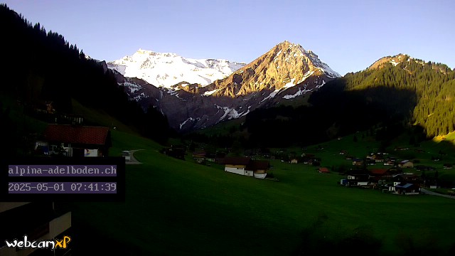 8h ago - 07:41