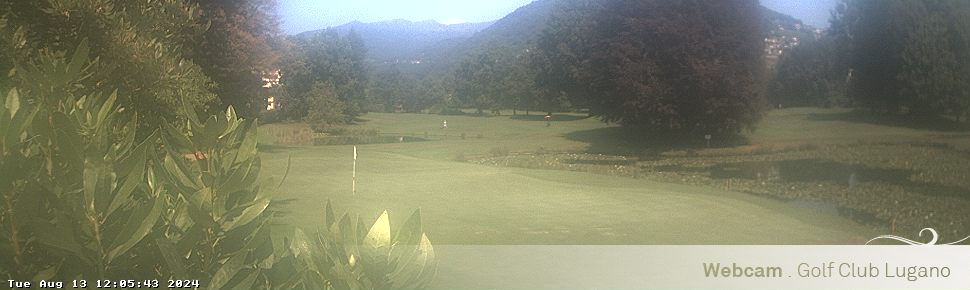 13.08.2024 12:05