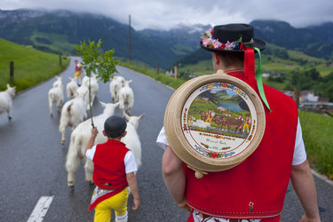cheese-festival - Käsefest Appenzell