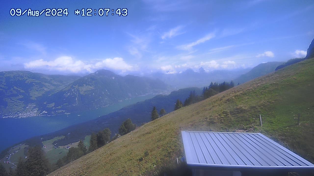 09.08.2024 12:01