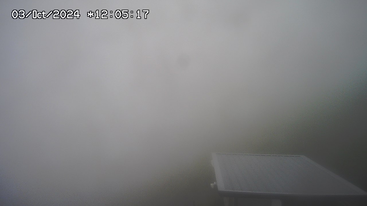 03.10.2024 12:01