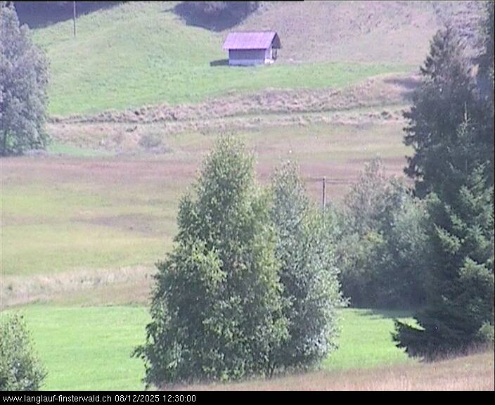 12.08.2025 12:10