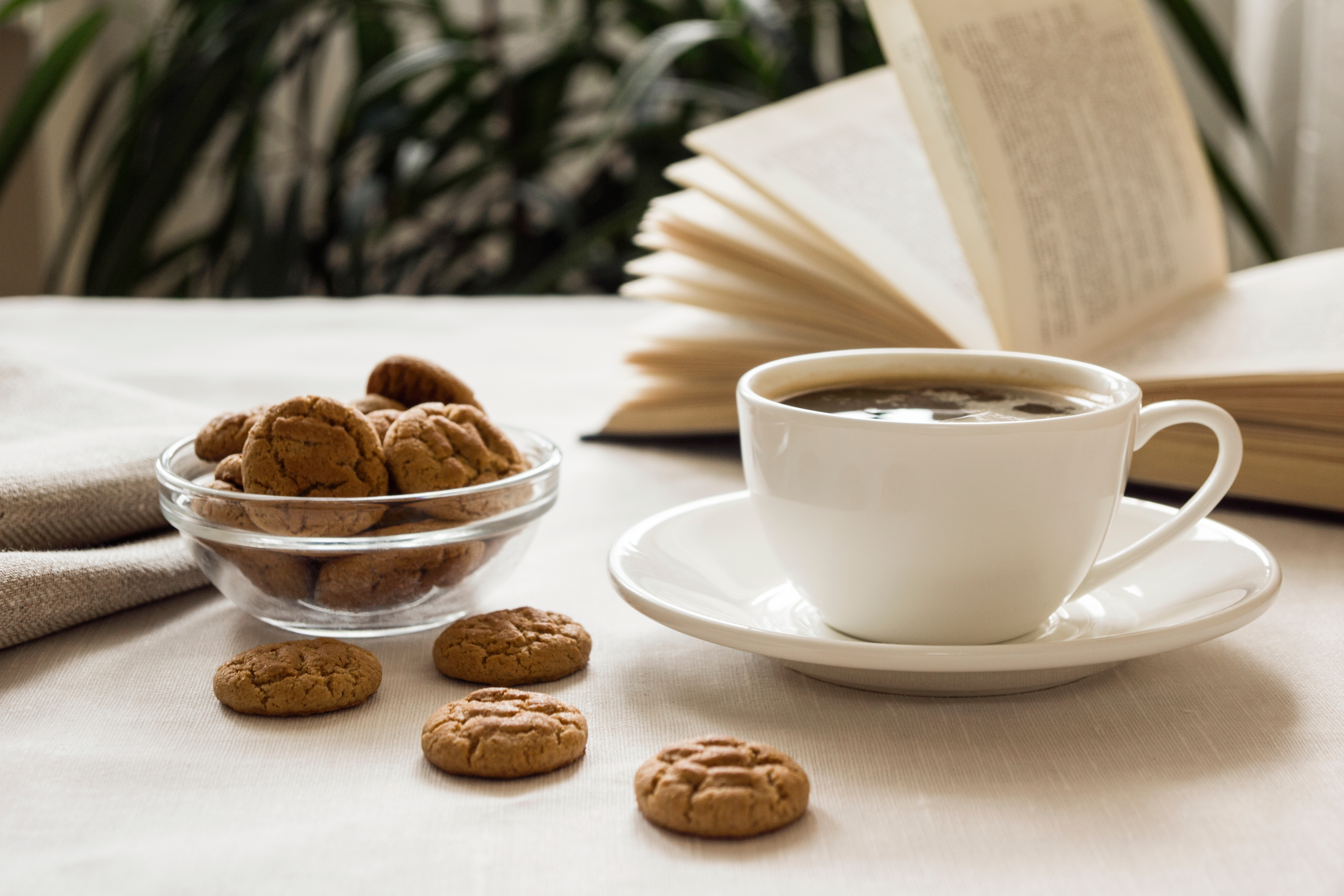 Erzählcafé: Eintauchen in Erinnerungen