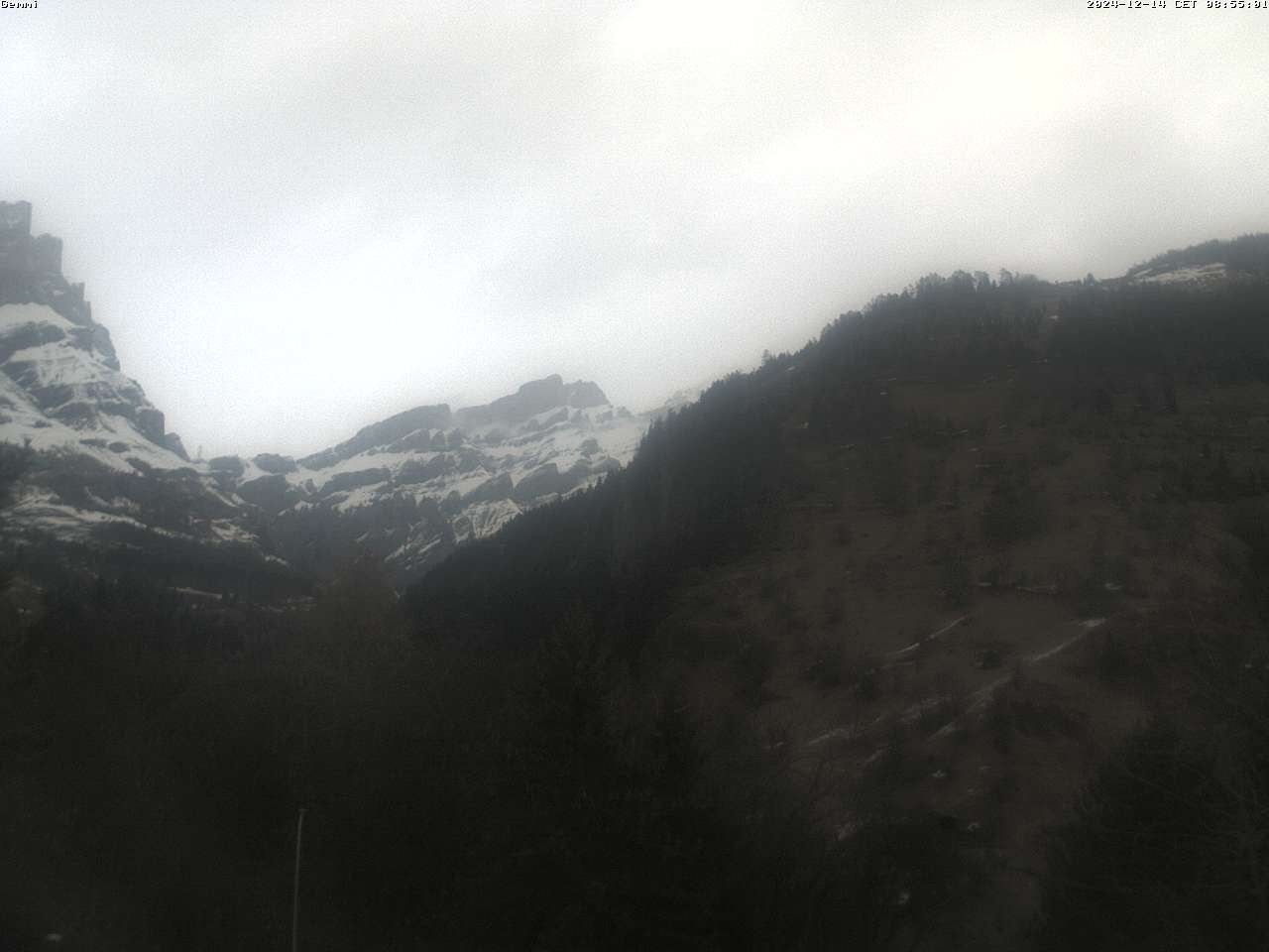14.12.2024 12:02
