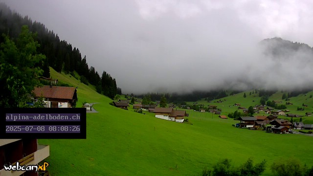 3h ago - 08:08