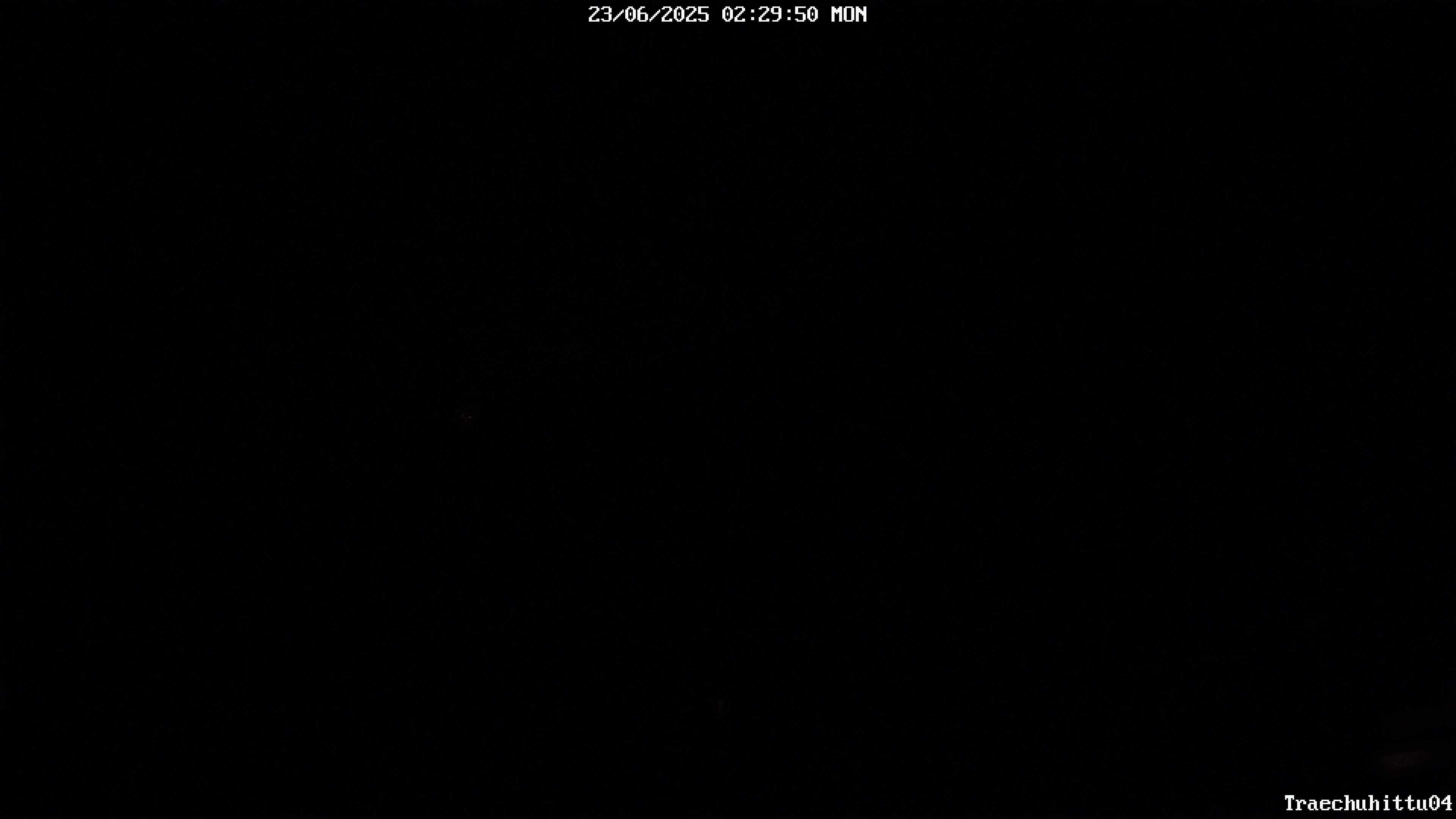 4h ago - 02:29