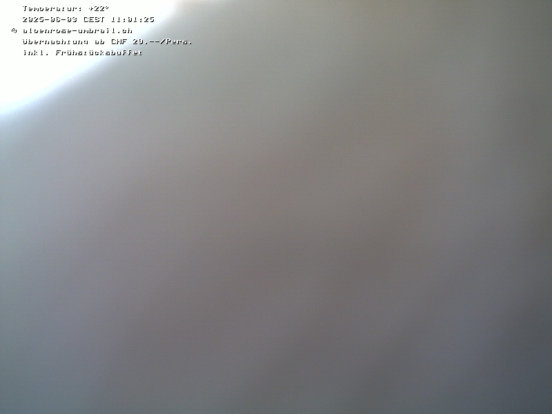 31h ago - 11:14