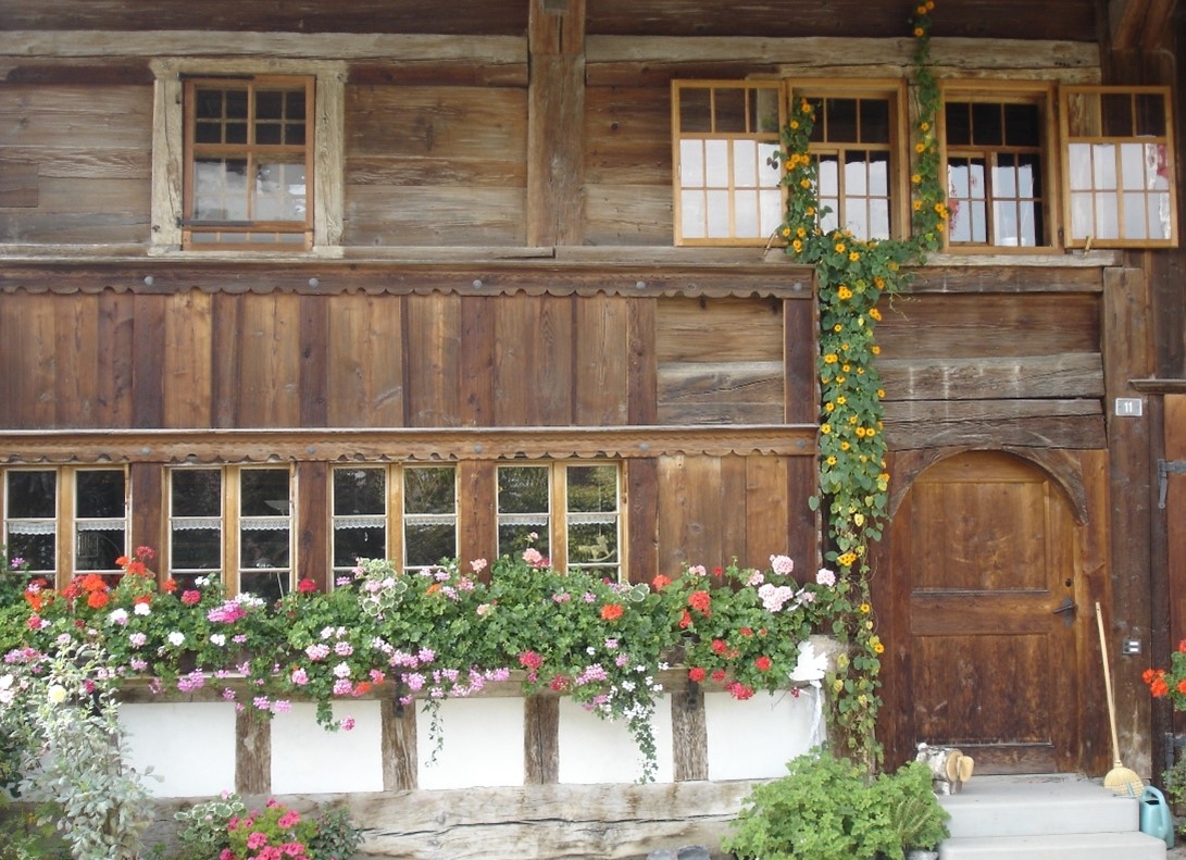 Rundgang durch Horben