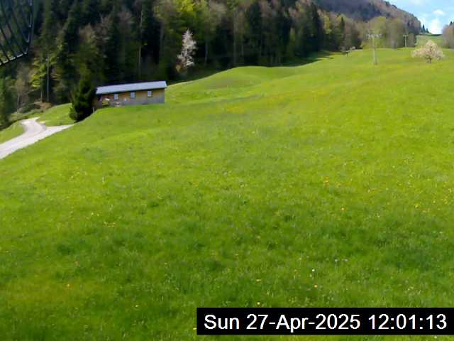 27.04.2025 12:01