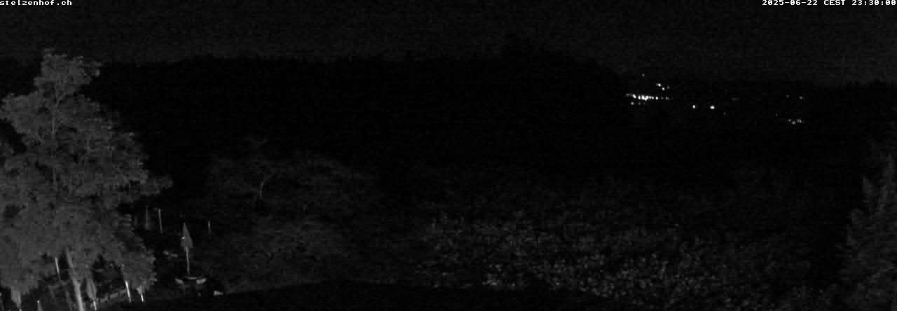31h ago - 23:30