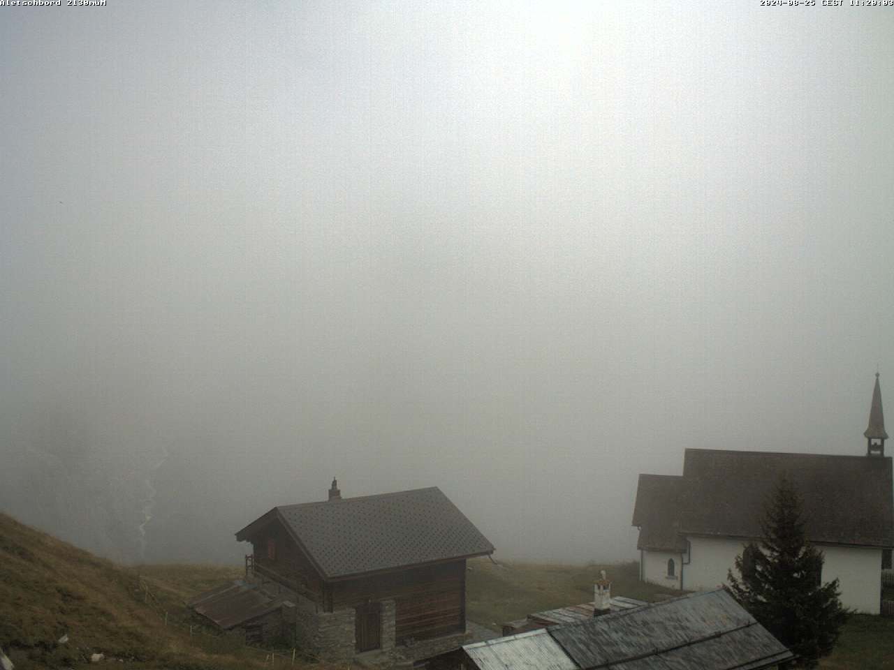 25.08.2024 12:02