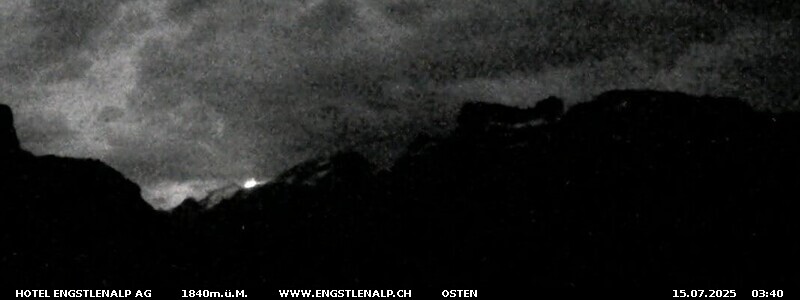 29h ago - 03:41