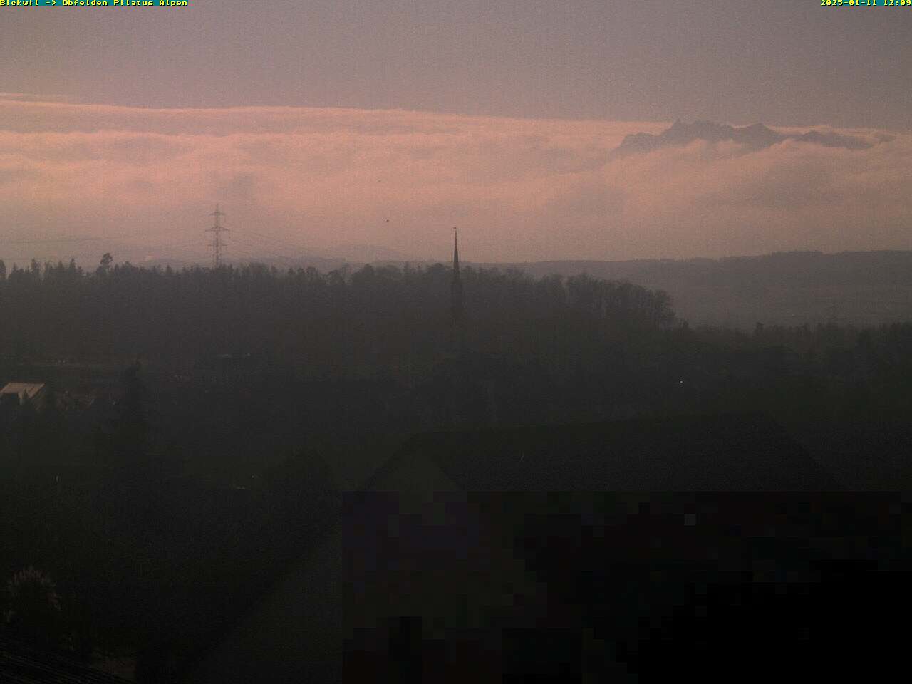 11.01.2025 12:09