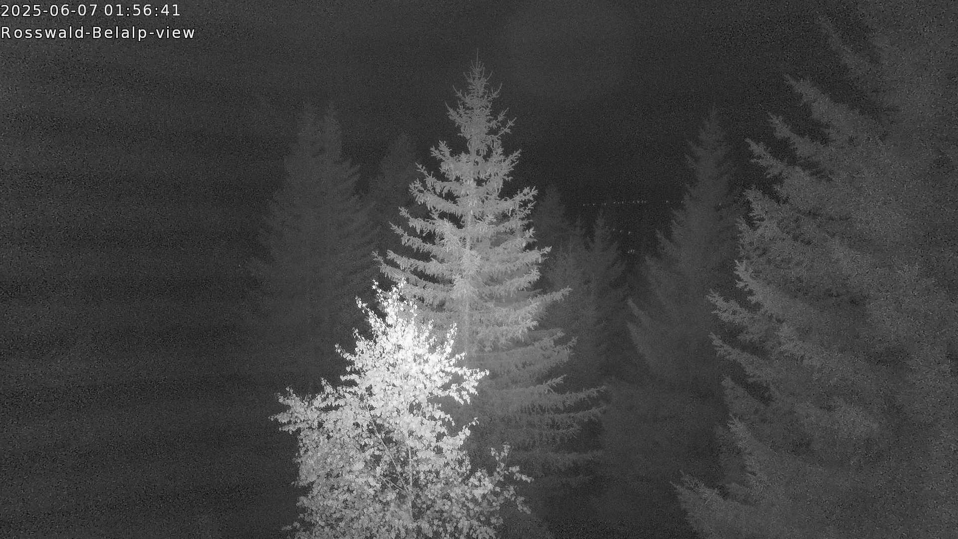 29h ago - 02:01