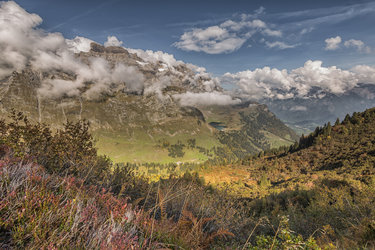 Copyright Daniele Giardina