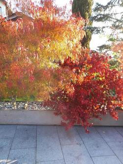 Bild 17